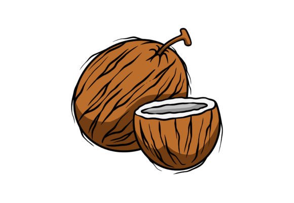 Coconut Vector Fruit Clipart Graphics