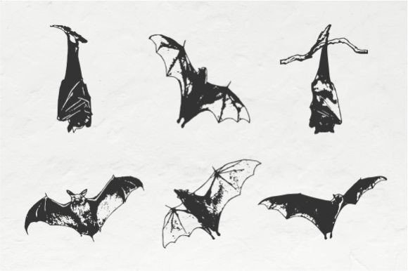 Halloween Bat Vintage Vector Graphics