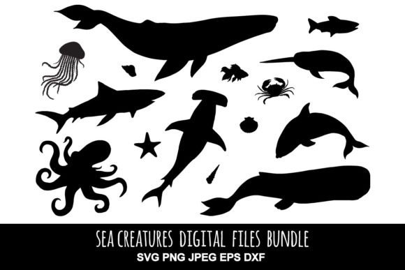 Sea Animals Graphics for Modern Branding