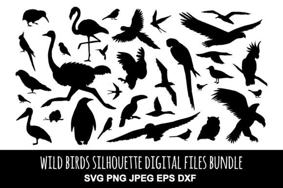Set of Birds Silhouette Graphics for Digital Selling